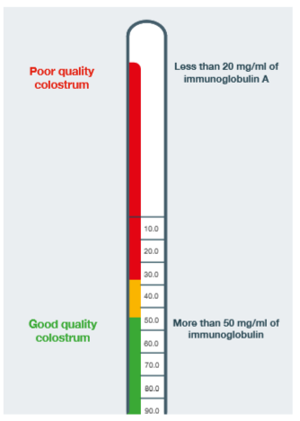 Range of good- to poor-quality colostrum and immunoglobulin levels